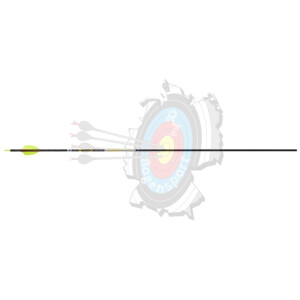 Victory Shaft VAP Target Elite