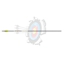 Victory Shaft VAP Target Elite