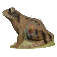 Frosch Braun gallery