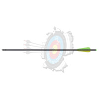 Hori-Zone Armbrustbolzen After Shock Carbon 20" 4