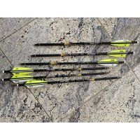 Skylon X-Bow Bolzen Carbon dia 8,7mm gallery