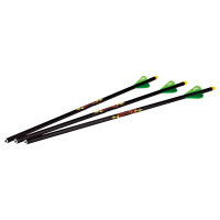 Excalibur Bolts Diablo Carbon 18" I gallery