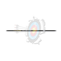Easton X10 Protour
