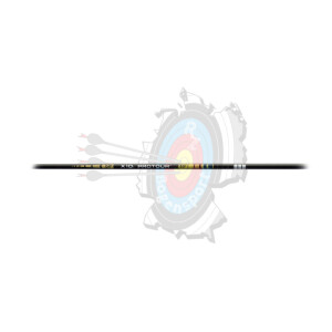 Easton X10 Protour 380
