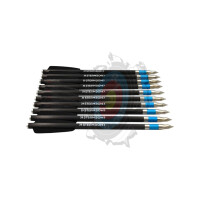AR-Series – schwere Carbon-Sportpfeile – Set aus 10 Stk.