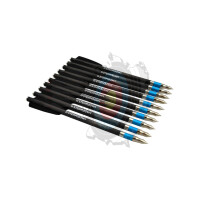 AR-Series – schwere Carbon-Sportpfeile – Set aus 10 Stk.