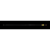 Skylon Novice ID4.2 Carbonpfeil mit Vanes EP23