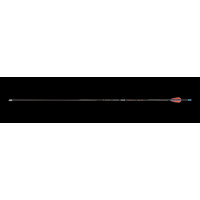 Skylon Novice ID4.2 Carbonpfeil mit Vanes EP23 800