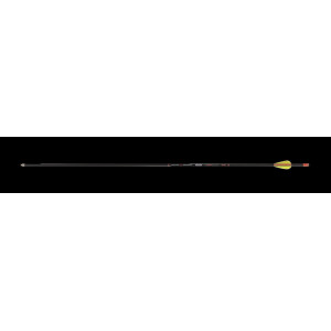 Skylon Novice ID4.2 Carbonpfeil mit Vanes EP23 600