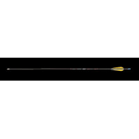 Skylon Novice ID4.2 Carbonpfeil 3" Naturfeder Parabol