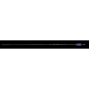 Skylon Radius ID 4.2 Fertigpfeil mit AAE EP Vanes