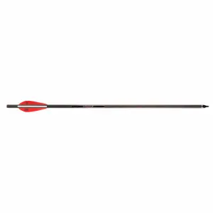Barnett Bolt Carbon Headhunter 20"