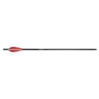 Barnett Bolt Carbon Headhunter 20"