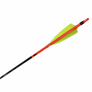Shocq Pavo 6.2 Naturfeder