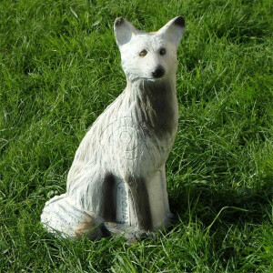 Polarfuchs