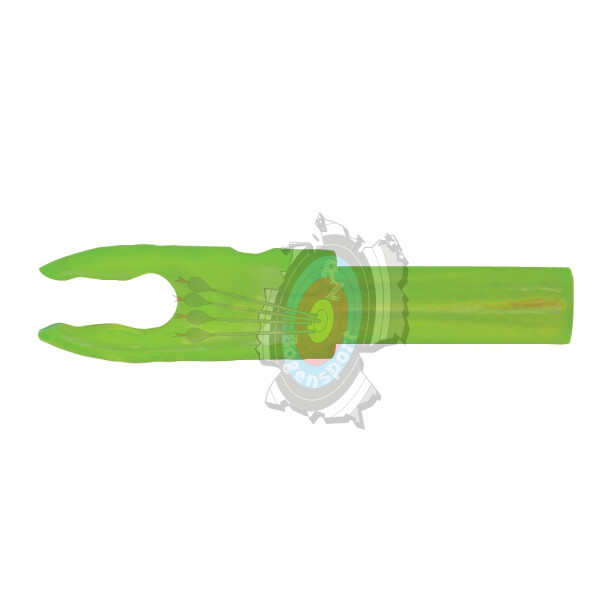 Transparent Kiwi